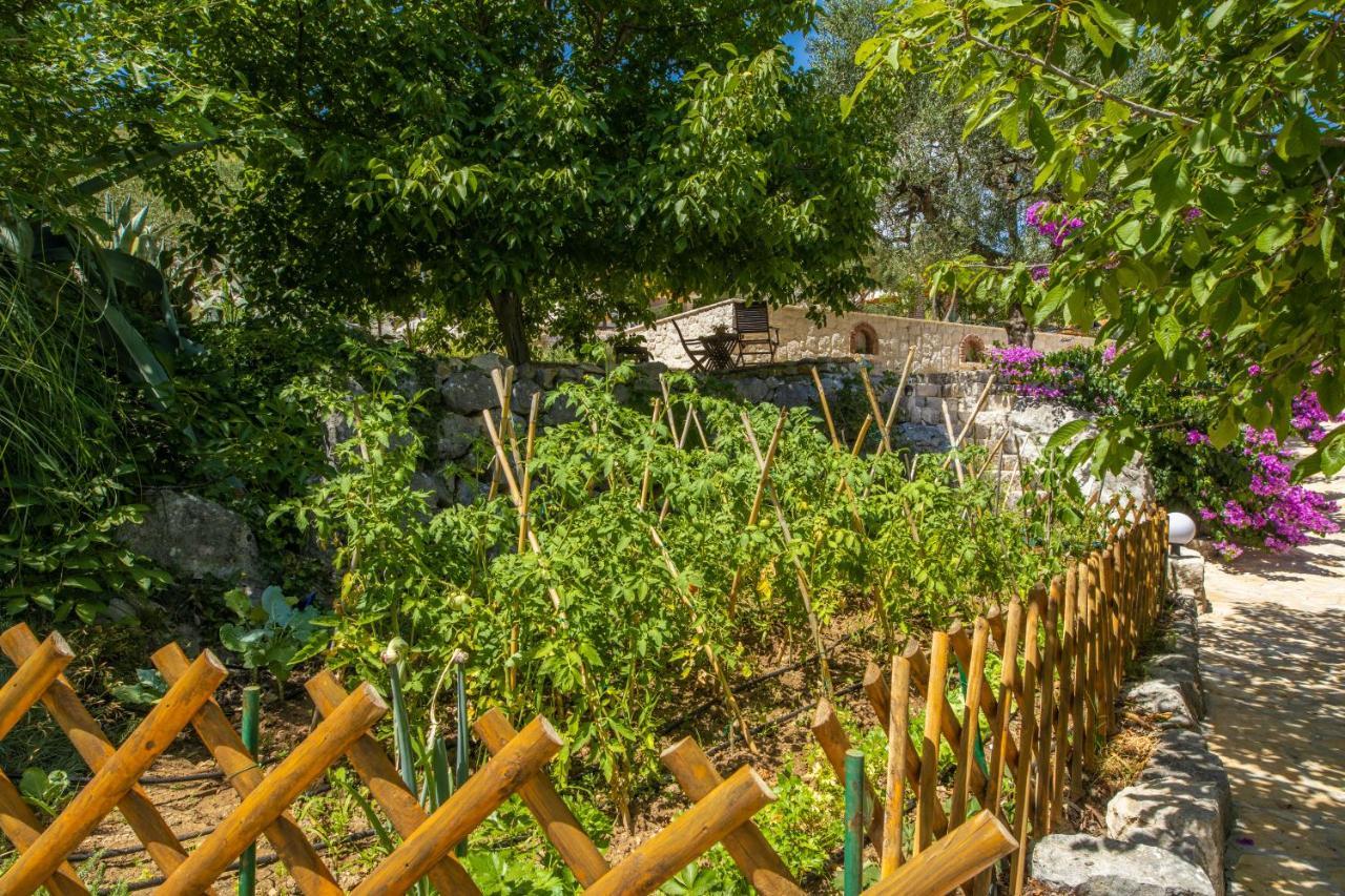 Etno House Wagner Villa Ploce  Ngoại thất bức ảnh